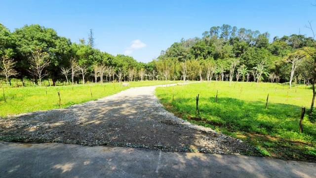 新竹縣竹東建地農地農舍休閒地