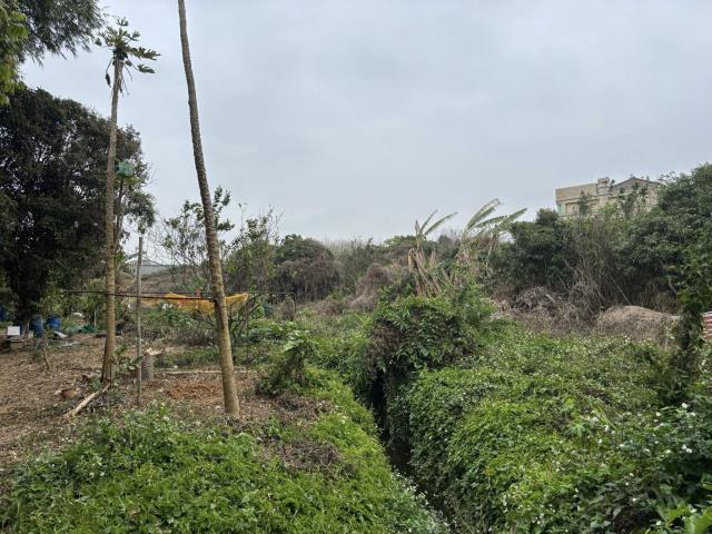 東森房屋大雅中清店小坪數都內田