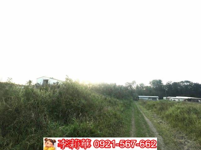 台南農地-3