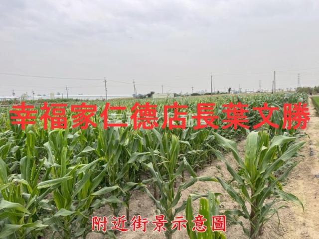 台南農地-0