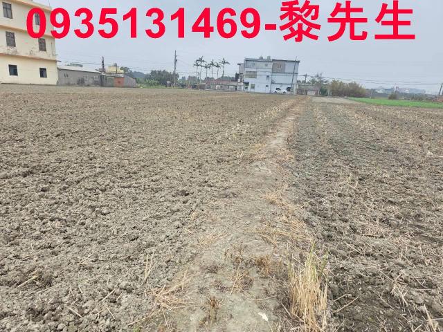 新竹農地-3