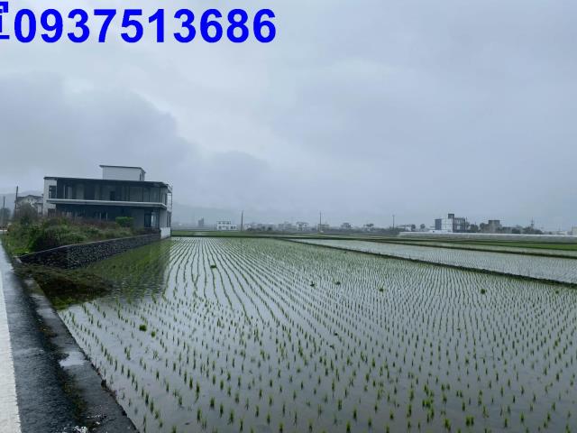 宜蘭宜蘭市農地-5