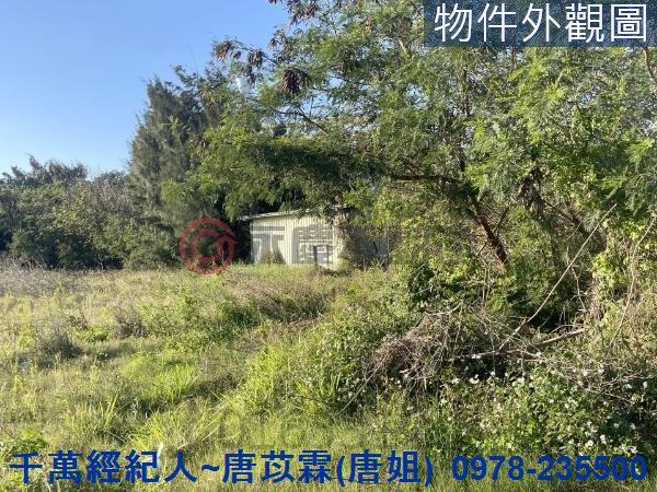 新竹竹北農地-1