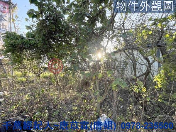 新竹竹北農地-6