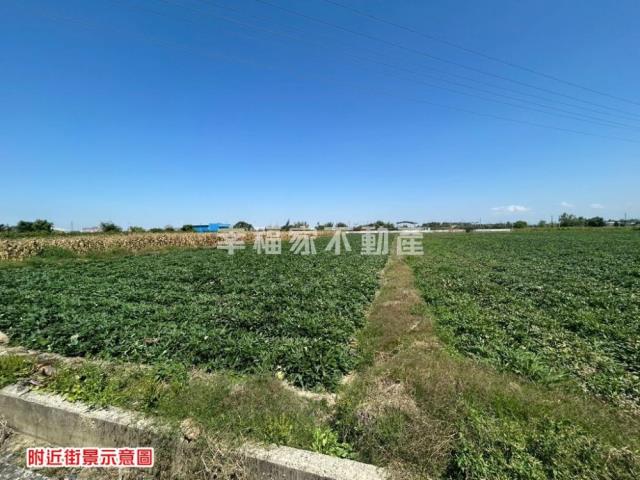 台南新化農地-10