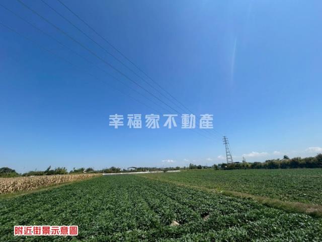 台南新化農地-3