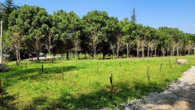 新竹橫山農地-10