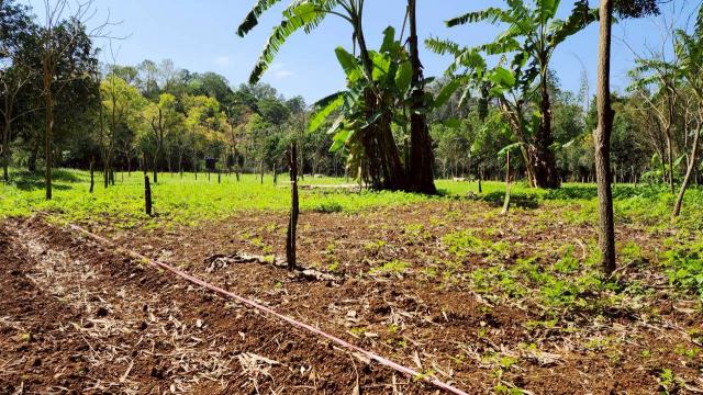 新竹橫山農地-14