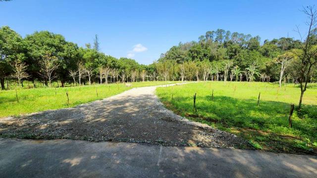 小坪數橫山開心農場