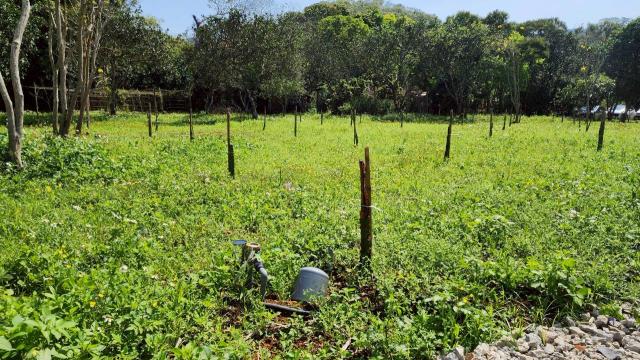 新竹橫山農地-5