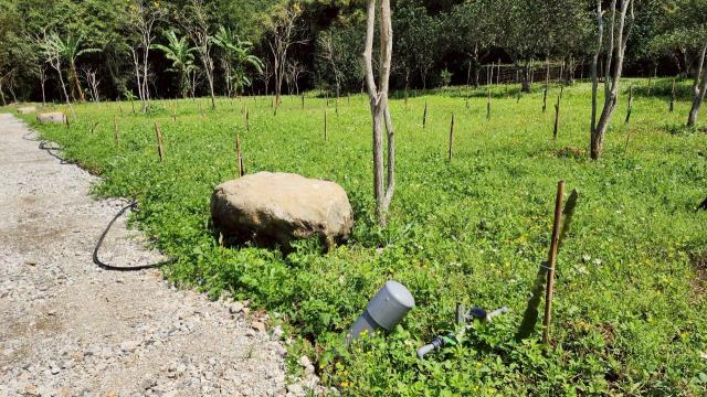 新竹橫山農地-6