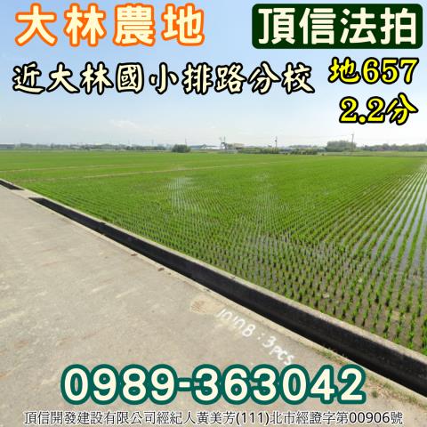 嘉義大林拍賣農地-1