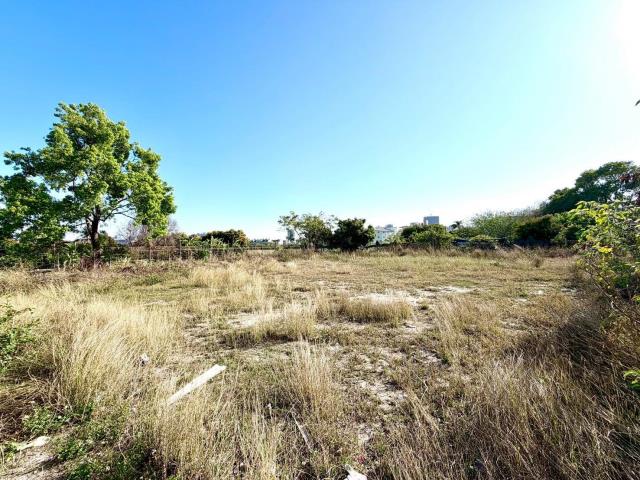 台中西屯農地-4