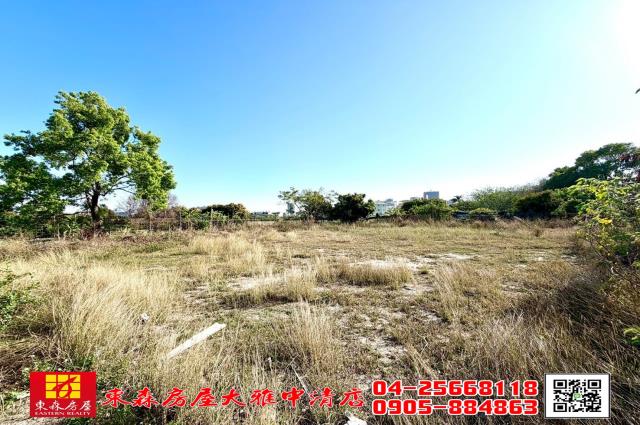 台中西屯農地-0