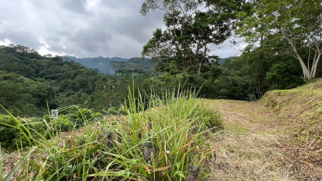 新竹北埔農地-13