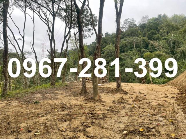 卓蘭不動產土地買賣