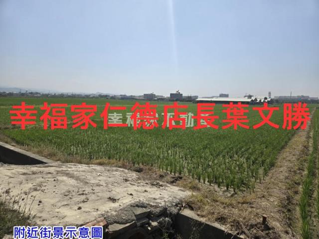 柳營農地-10