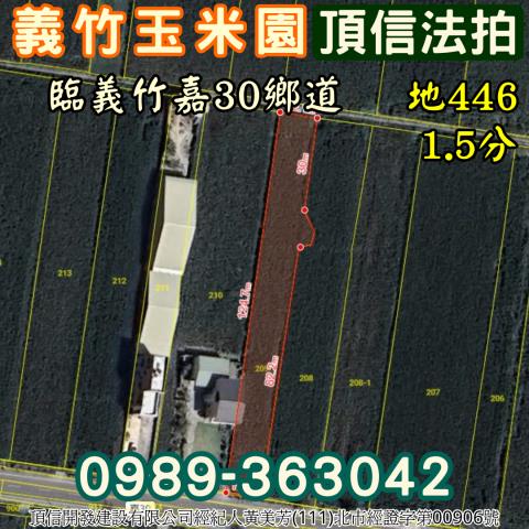 義竹農地法拍-3