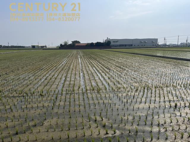 彰化溪湖埔鹽埤頭二林秀水福興建地工業用地田地農地店面透天別墅
