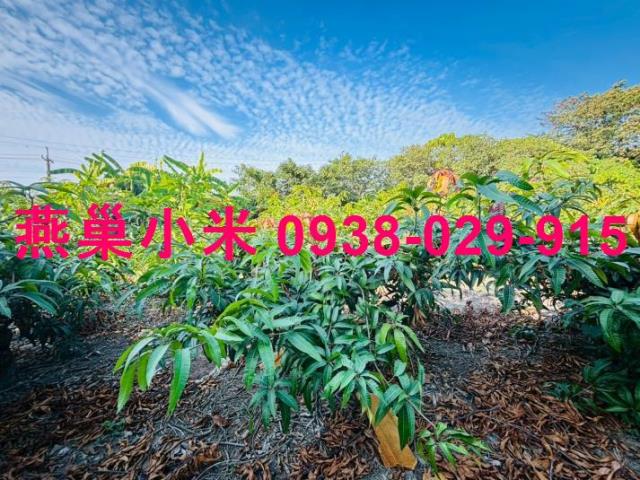 高雄農地-0