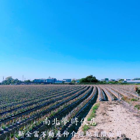 台南農地-5