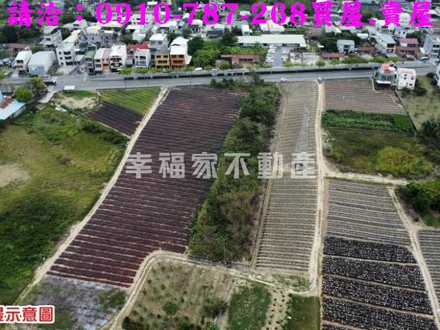 台南農地-1