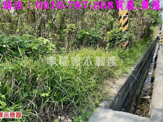 台南農地-8