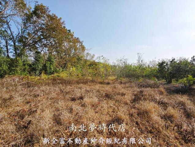 台南左鎮農地-0