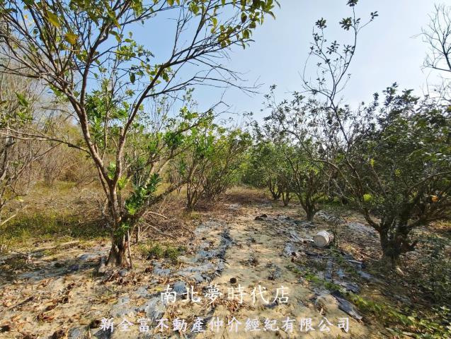 台南左鎮農地-7