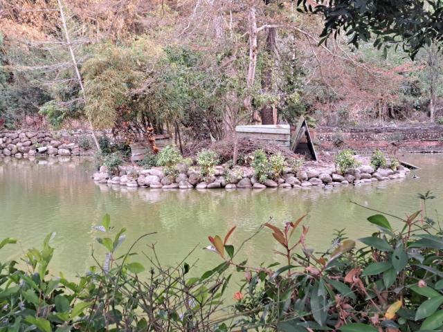 南投竹山農地-2