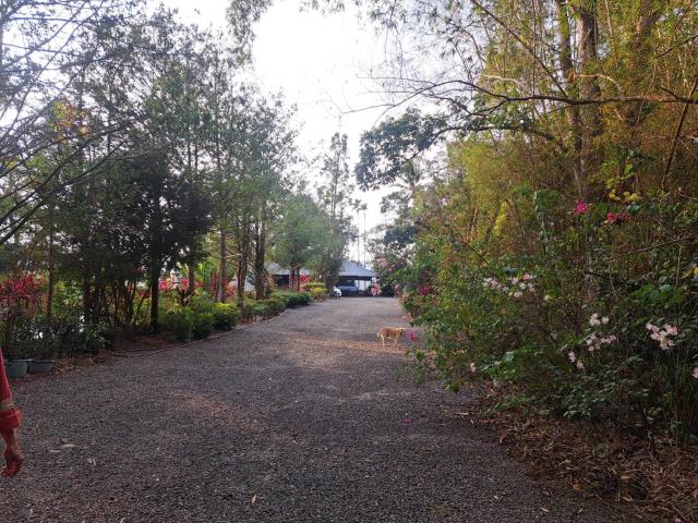 南投竹山農地-5