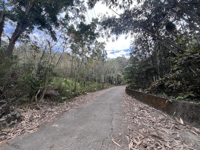 南投鹿谷農地-5