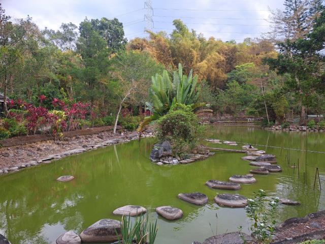 南投竹山農地-2