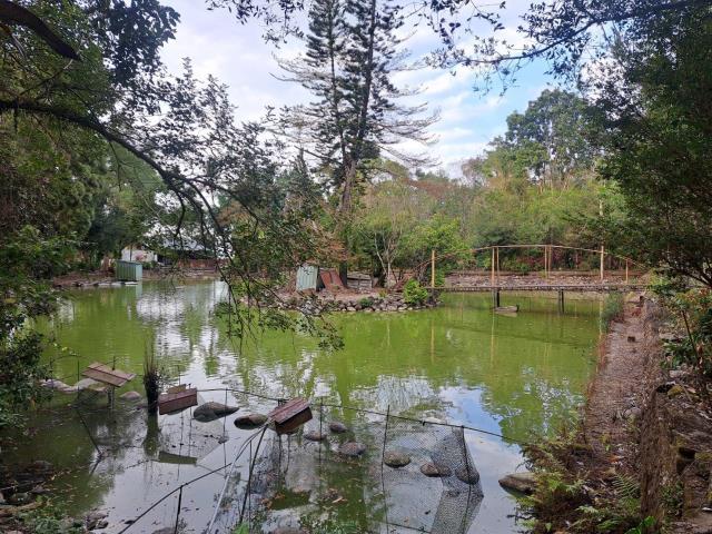 南投竹山農地-5