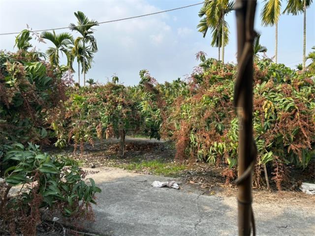 屏東鹽埔農地-1