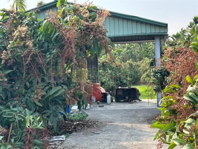 屏東鹽埔農地-8