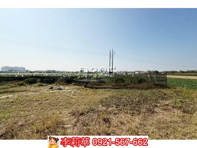 台南新市農地-12