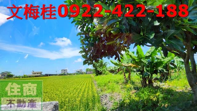 宜蘭農地-1