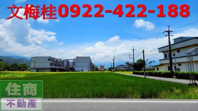 宜蘭農地-3