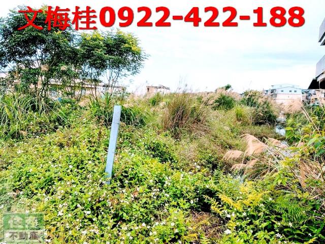 宜蘭宜蘭市農地-4