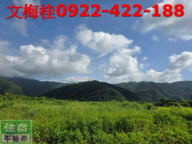 宜蘭員山農地-2