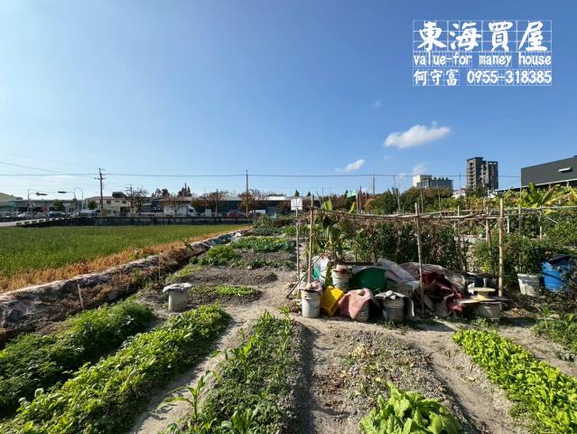 台中西屯農地-2