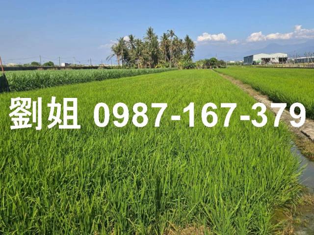 屏東市農地-0