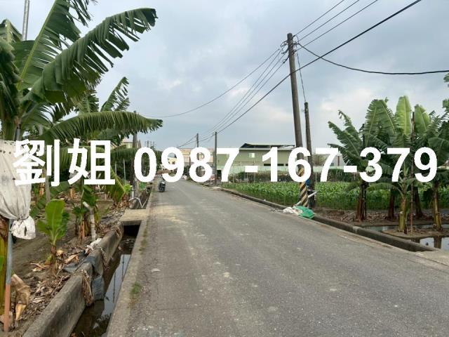 大發方正農地全