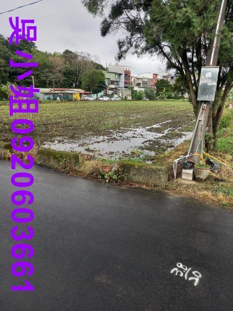 大溪農地-5