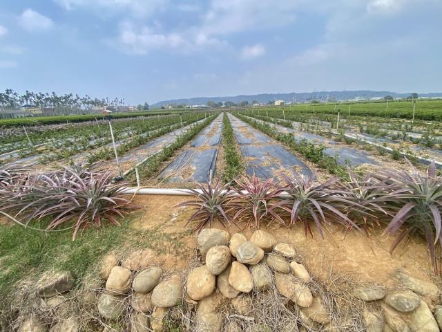 南投竹山農地都內農地