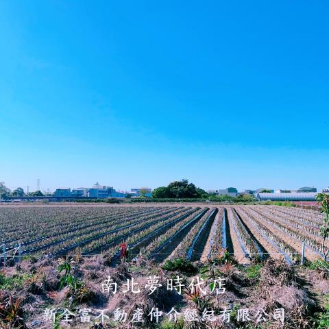 台南農地-6