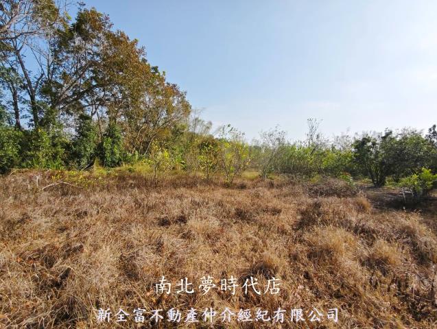 台南左鎮農地-0