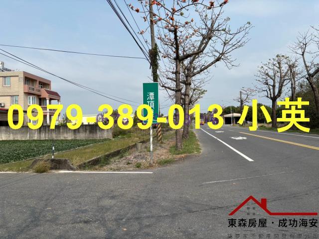 台南新市農地-10