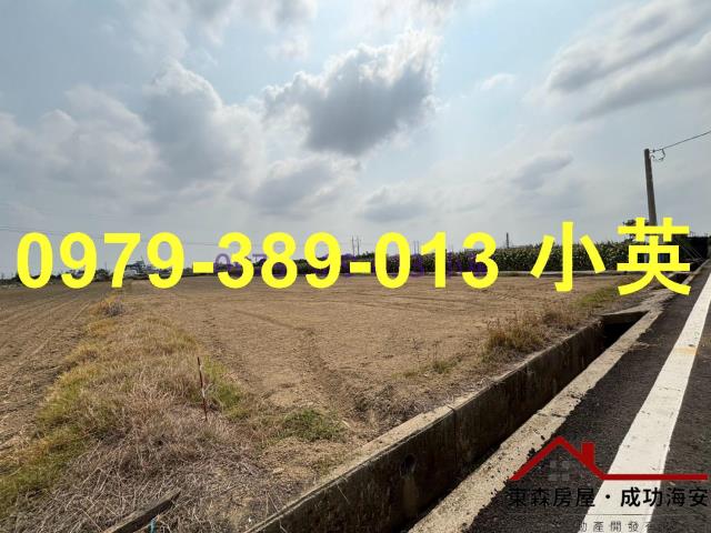 台南新市農地-3